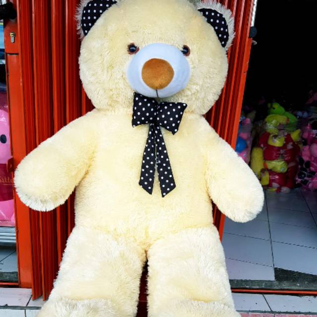 Detail Gambar Boneka Besar Nomer 17