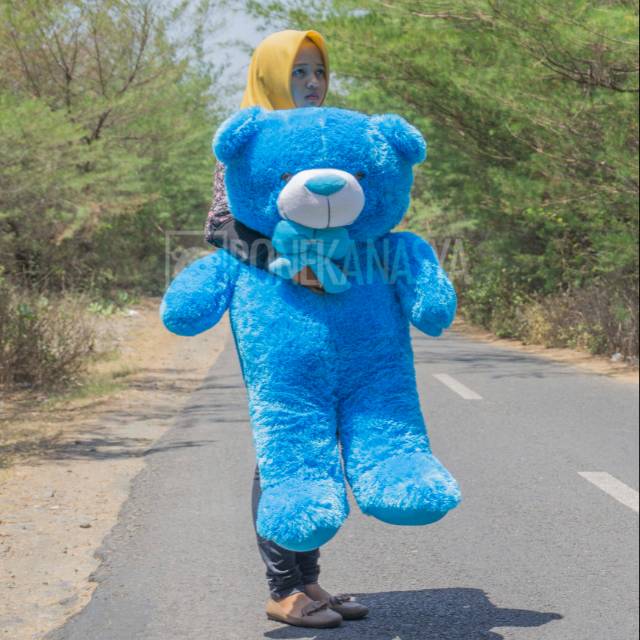 Detail Gambar Boneka Biru Nomer 37