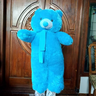 Detail Gambar Boneka Biru Nomer 43