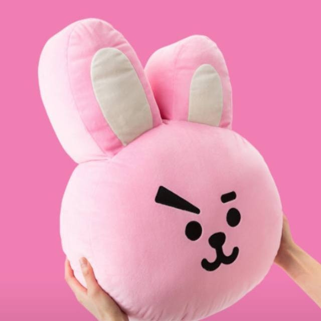 Detail Gambar Boneka Bts Cooky Nomer 35