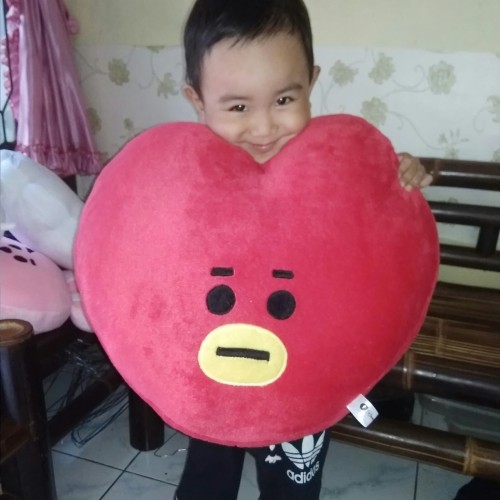 Detail Gambar Boneka Bts Tata Nomer 38