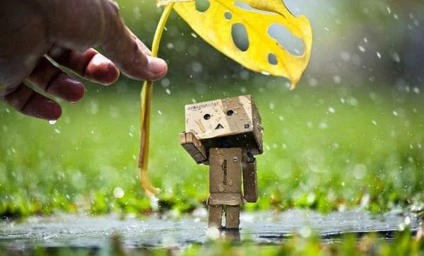 Detail Gambar Boneka Danbo Cinta Nomer 51