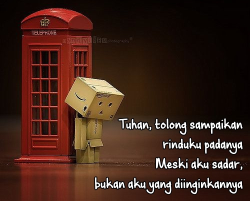 Detail Gambar Boneka Danbo Dengan Kata Kata Nomer 39