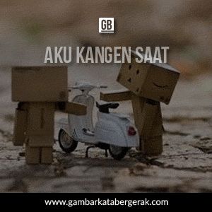 Detail Gambar Boneka Danbo Dengan Kata Kata Galau Nomer 17
