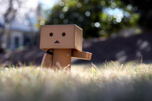 Detail Gambar Boneka Danbo Dengan Kata Kata Galau Nomer 30
