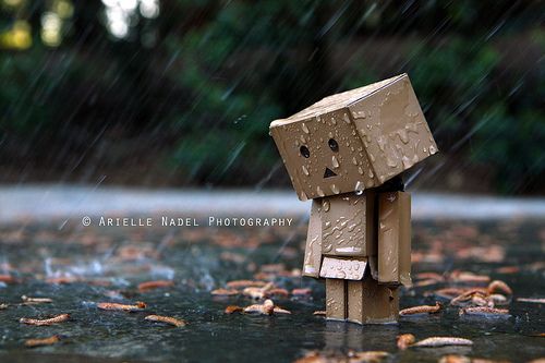 Detail Gambar Boneka Danbo Galau Nomer 16