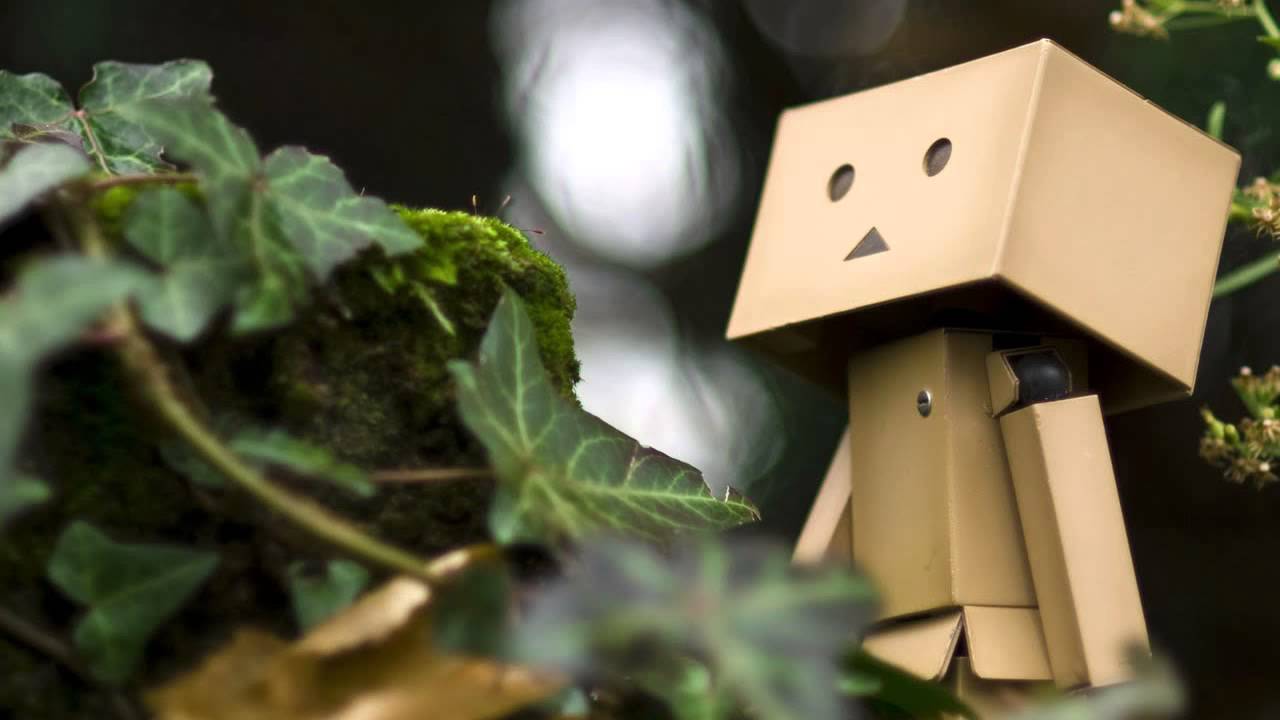 Detail Gambar Boneka Danbo Galau Nomer 48