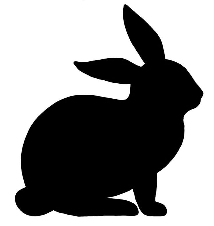 Detail Hase Clipart Nomer 7