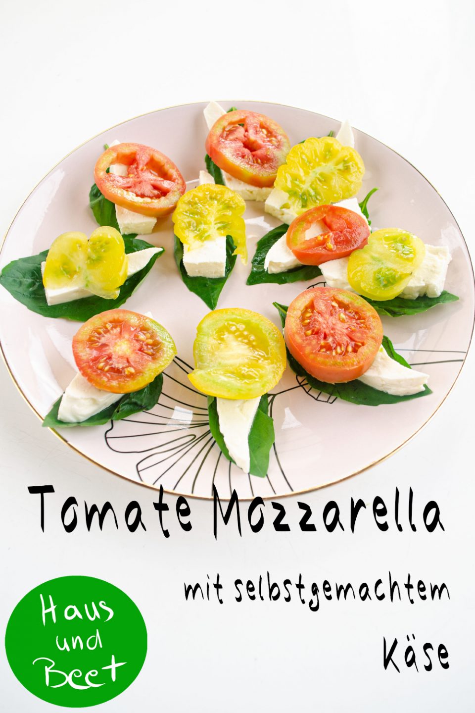 Detail Mozzarella Sorten Nomer 15