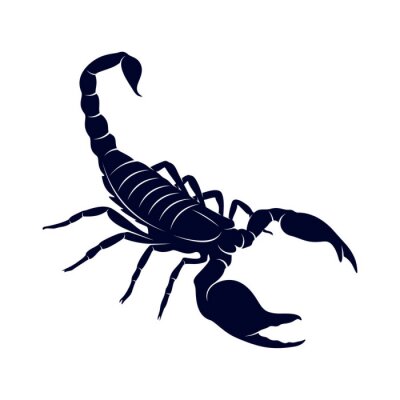 Detail Scorpion Tattoo Nomer 25