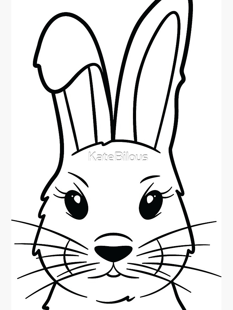 Detail Bild Hase Clipart Nomer 20