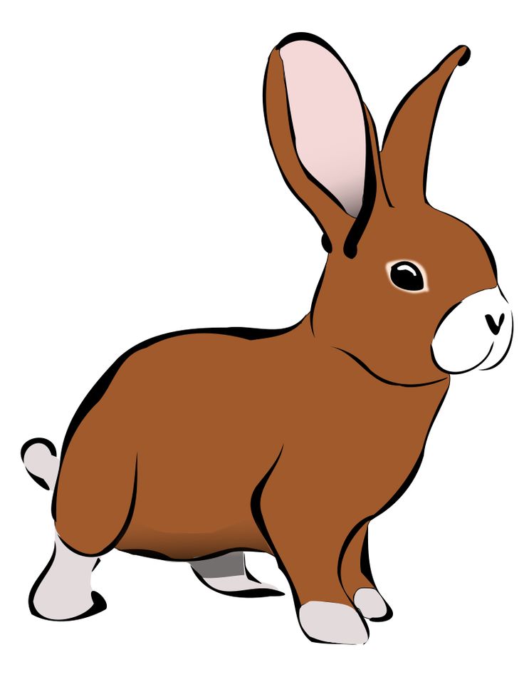 Bild Hase Clipart - KibrisPDR