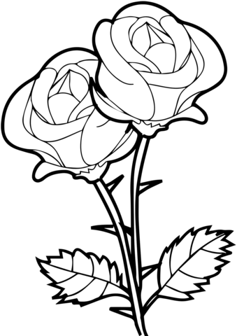 Detail Flores Rosas Para Colorear Nomer 7