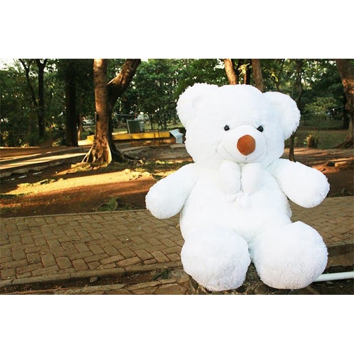 Detail Gambar Boneka Gambar Boneka Beruang Imut Nomer 31