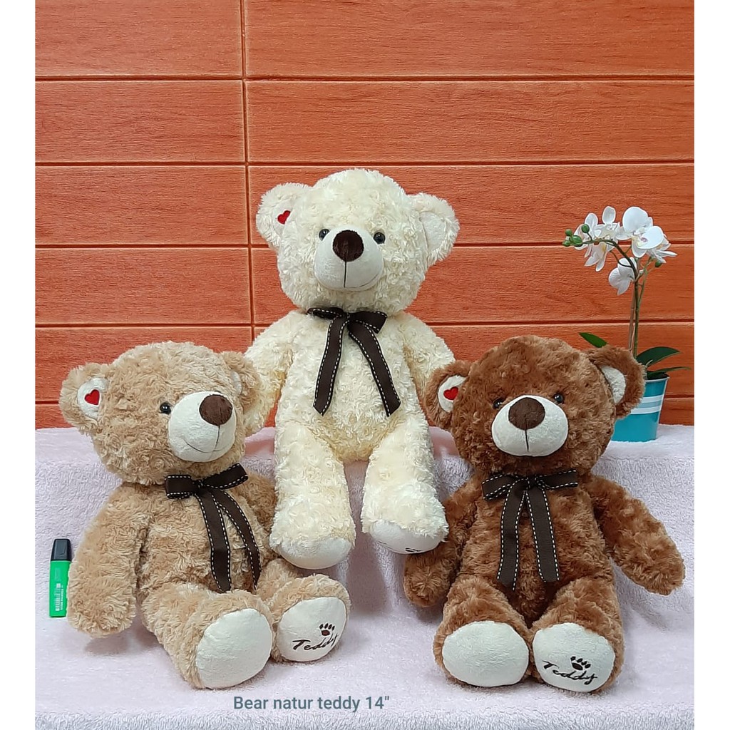 Detail Gambar Boneka Gambar Boneka Beruang Imut Nomer 53