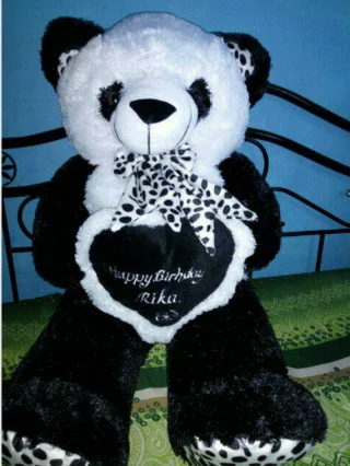 Detail Gambar Boneka Hitam Putih Nomer 44