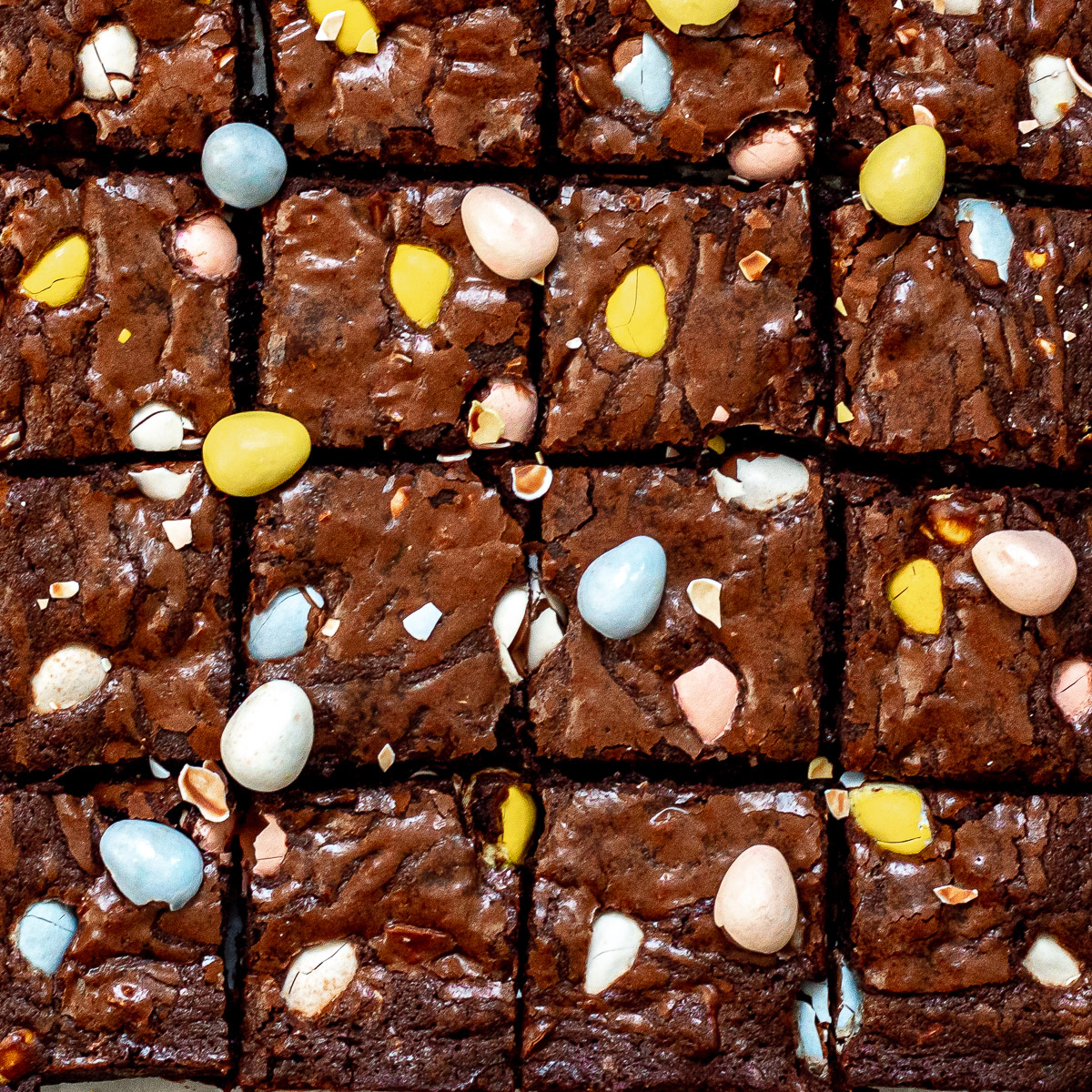 Detail Gambar Brownies Cantik Nomer 11