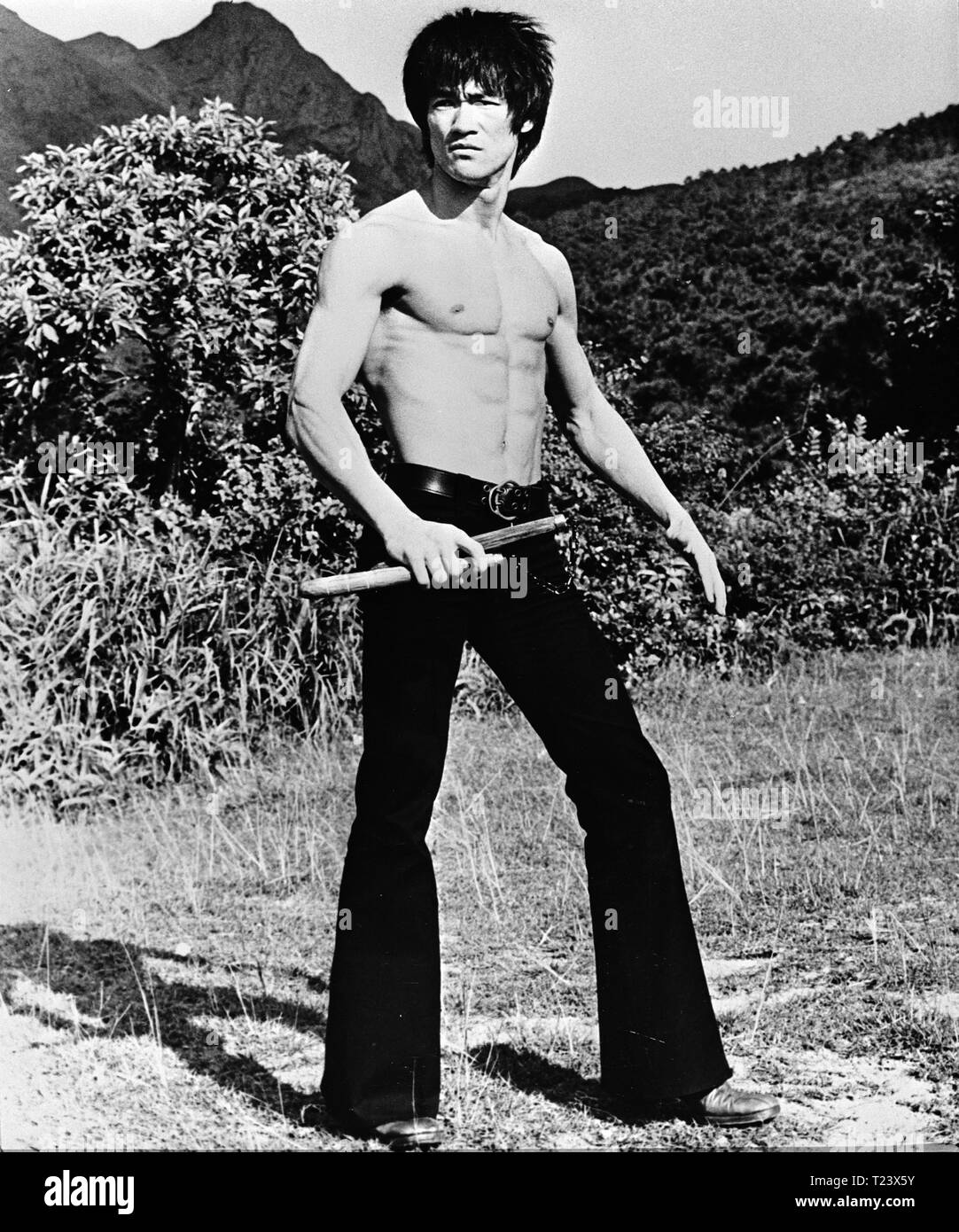 Detail Gambar Bruce Lee Nomer 30