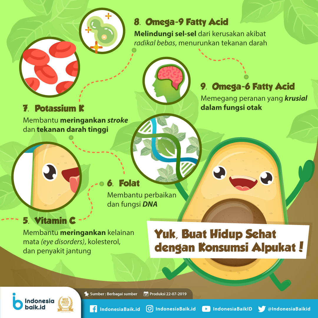 Detail Gambar Buah Alpokat Nomer 49