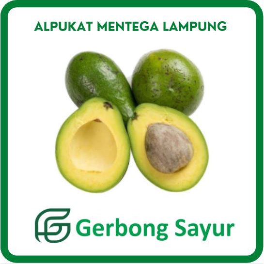 Detail Gambar Buah Alpukat Mentega Nomer 23