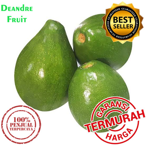 Detail Gambar Buah Alpukat Mentega Nomer 53