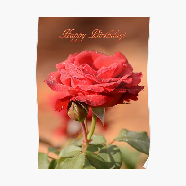 Detail Happy Birthday Bilder Rosen Nomer 20