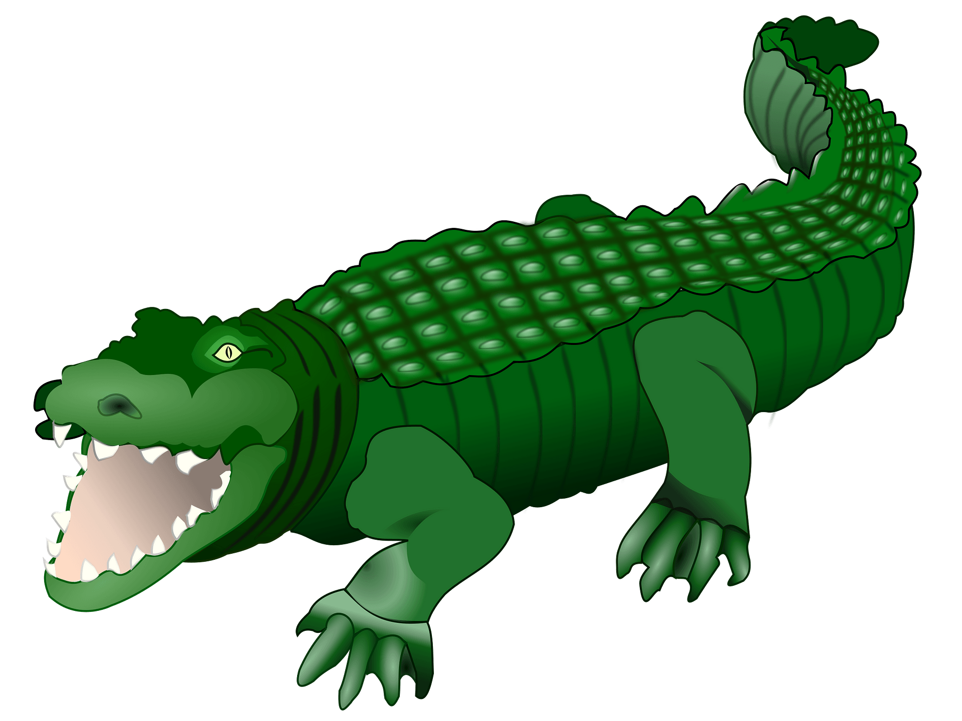 Detail Clipart Krokodil Nomer 5