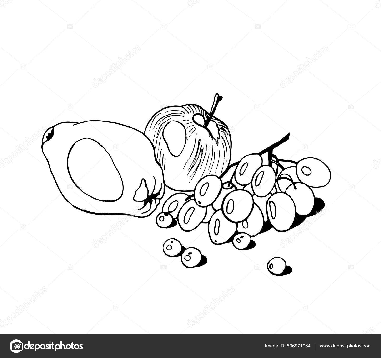Detail Gambar Buah Anggur Hitam Putih Nomer 13