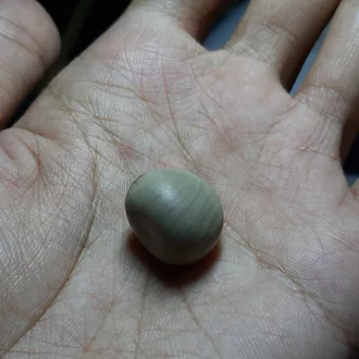 Detail Gambar Buah Bambu Nomer 29