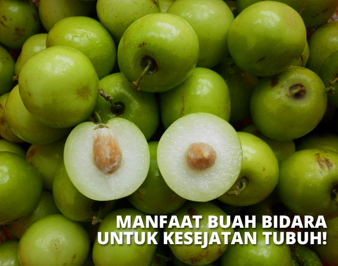 Detail Gambar Buah Bidara Nomer 14