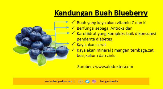 Detail Gambar Buah Blueberry Nomer 31