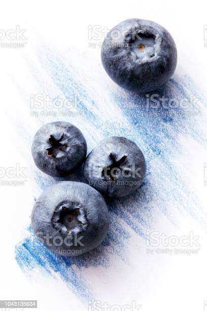 Detail Gambar Buah Blueberry Nomer 54