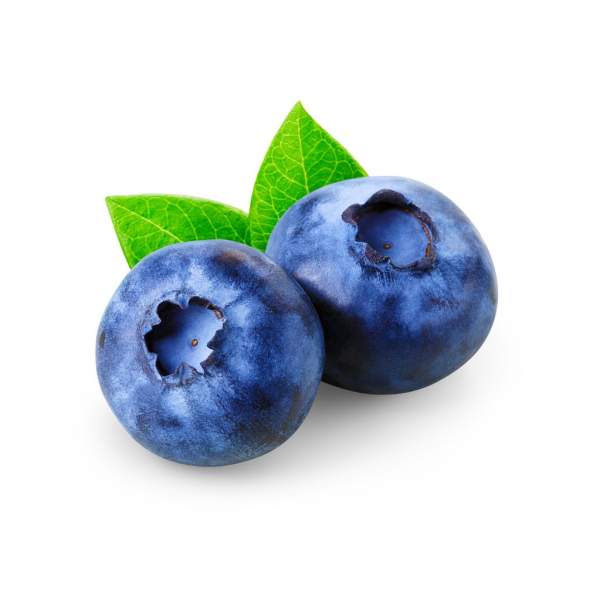 Detail Gambar Buah Blueberry Nomer 7