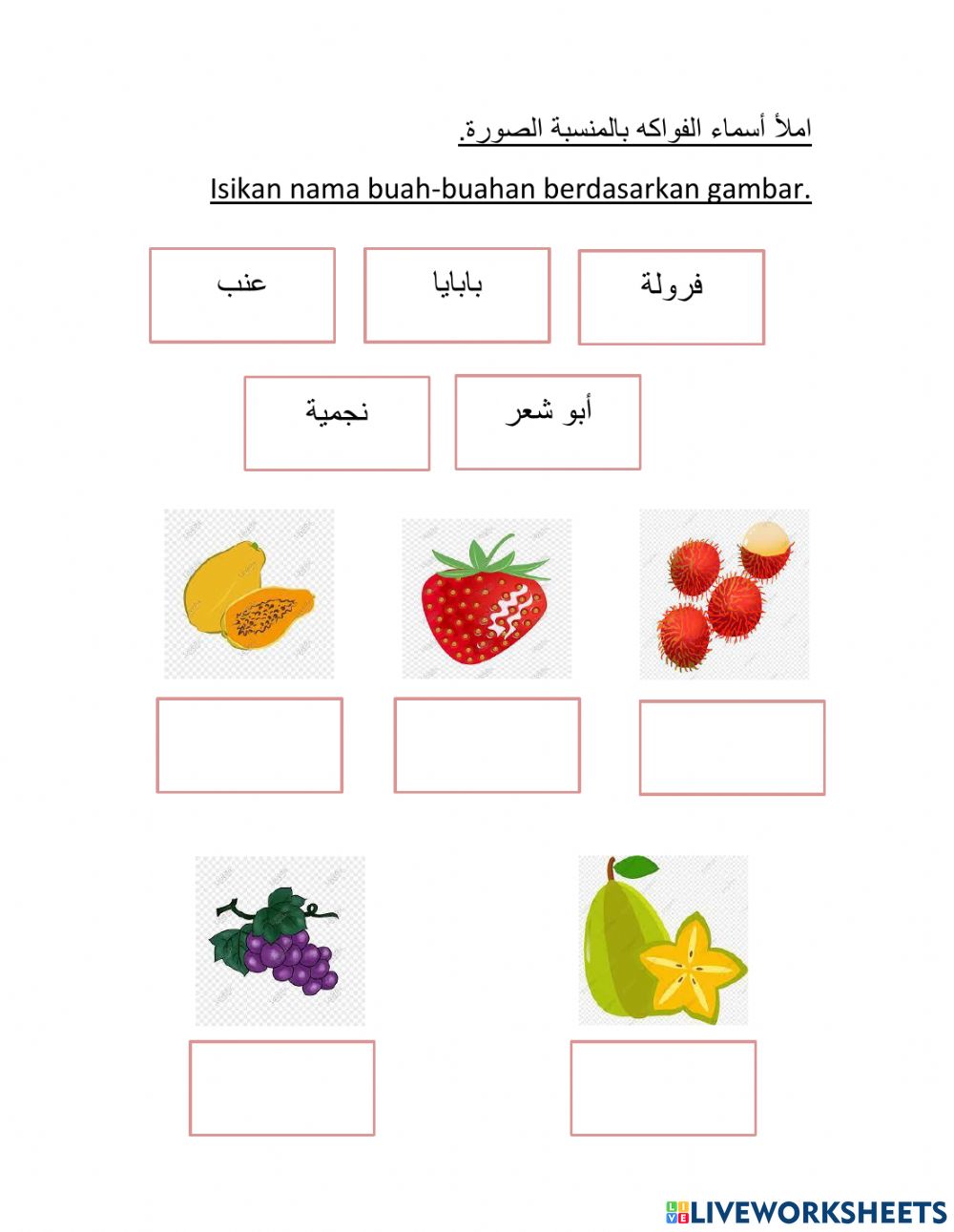 Detail Gambar Buah Buah Han Nomer 47