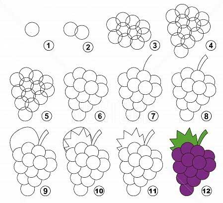 Detail Gambar Buah Buahan Anggur Nomer 16