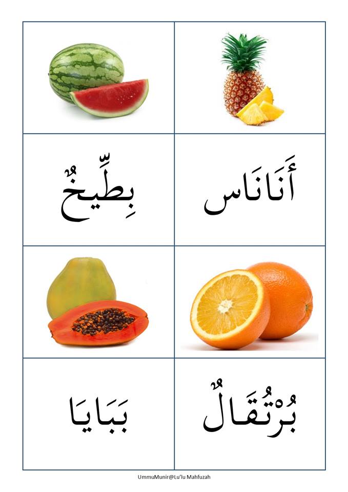 Detail Gambar Buah Buahan Bahasa Arab Nomer 46