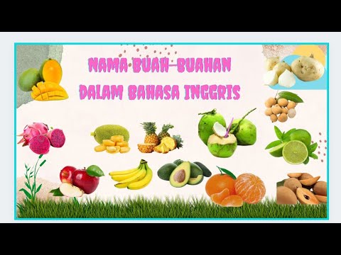 Detail Gambar Buah Buahan Bahasa Inggris Nomer 31