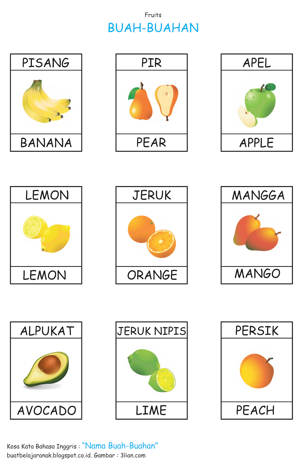 Detail Gambar Buah Buahan Bahasa Inggris Nomer 6