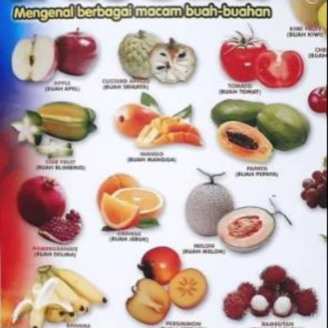 Detail Gambar Buah Buahan Beserta Namanya Nomer 47