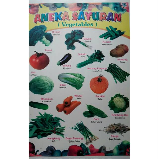 Detail Gambar Buah Buahan Dan Sayur Sayuran Nomer 13