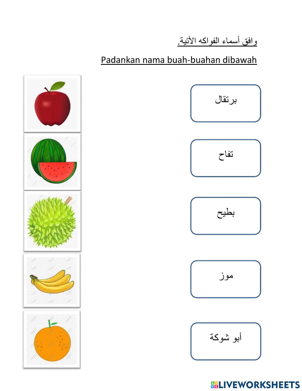 Detail Gambar Buah Buahan Gambar Buah Buahan Nomer 41