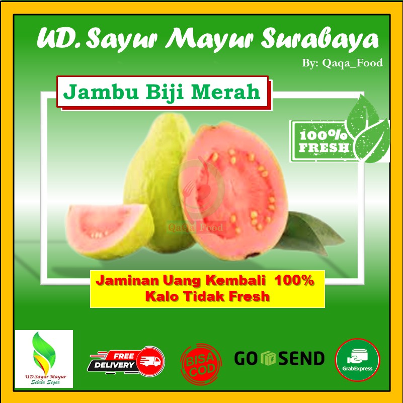 Detail Gambar Buah Buahan Gambar Buah Jambu Nomer 49