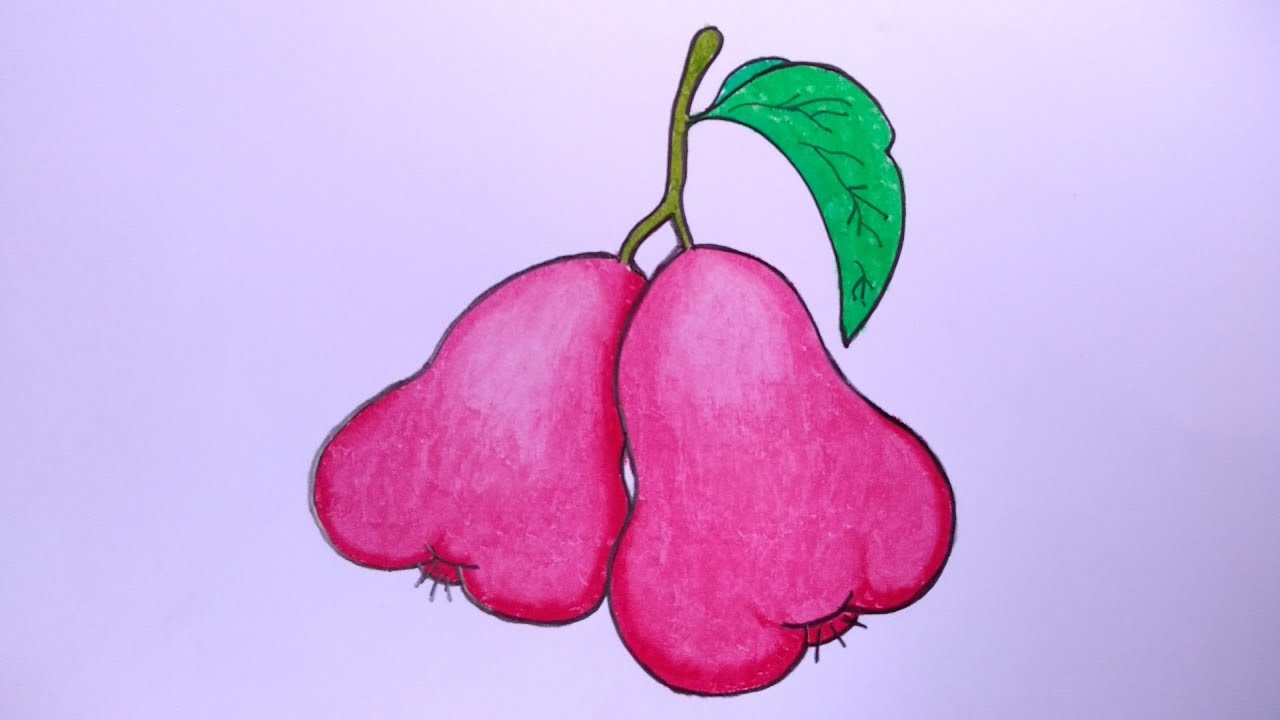 Detail Gambar Buah Buahan Gambar Buah Jambu Nomer 7