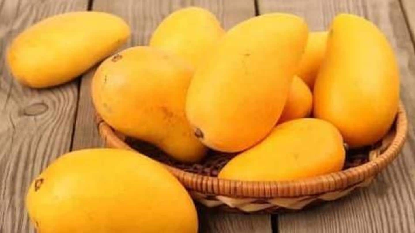 Detail Gambar Buah Buahan Gambar Mangga Nomer 20