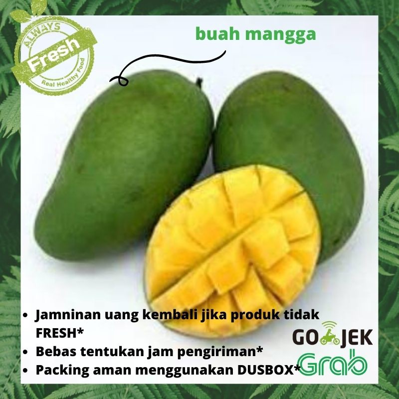 Detail Gambar Buah Buahan Mangga Nomer 26