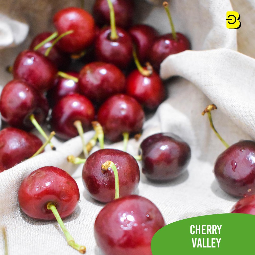 Detail Gambar Buah Cherry Nomer 46