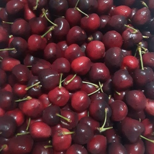 Detail Gambar Buah Cherry Nomer 54