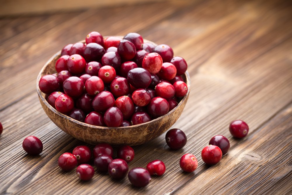 Gambar Buah Cranberry - KibrisPDR