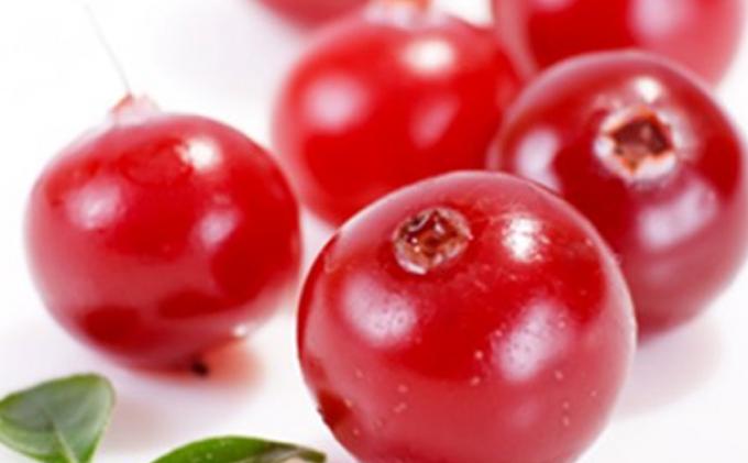 Detail Gambar Buah Cranberry Nomer 3