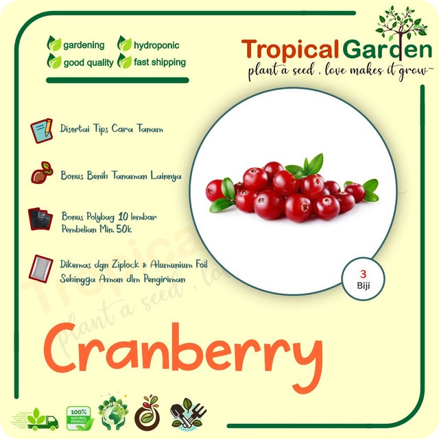 Detail Gambar Buah Cranberry Nomer 37